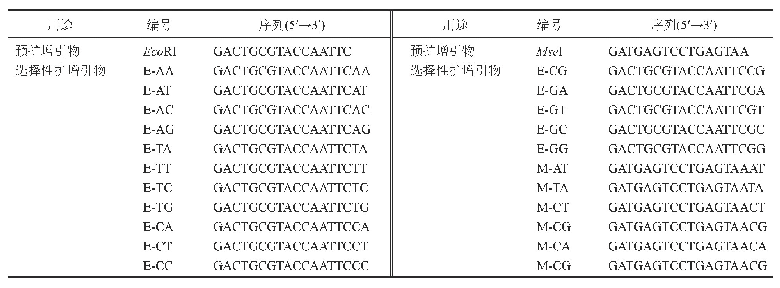表1 用于c DNA-AFLP分析的引物