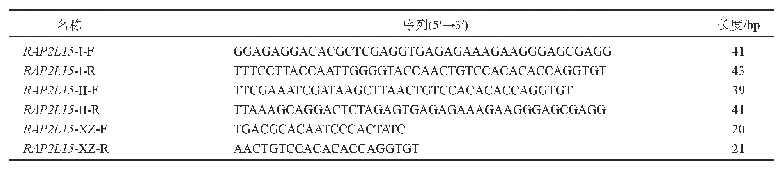 表1 引物序列：杨树ERF转录因子RAP2L15基因RNAi植物表达载体的构建及遗传转化