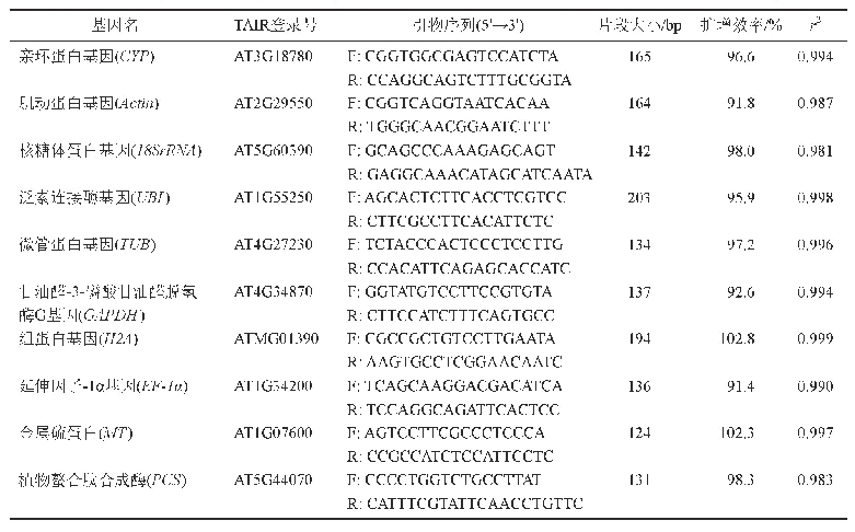 表1 十个候选基因的TAIR登录号、引物序列及扩增特点