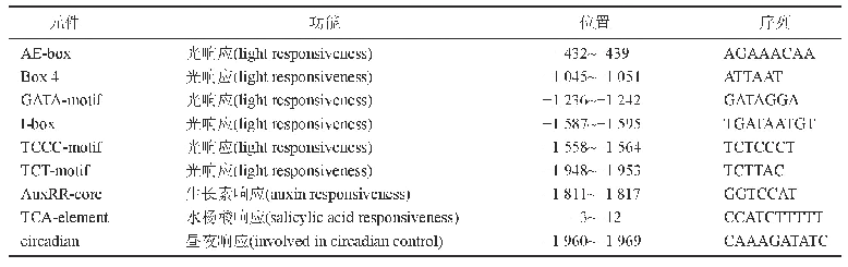 表2 GbGAI4-A6基因的启动子顺式元件预测