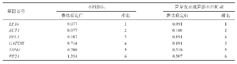 表2 Norm Finder分析内参基因的表达稳定性及排名