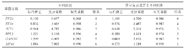 表3 Best Keeper分析内参基因的表达稳定性及排名