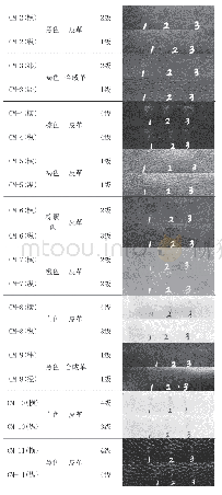 表2 鞋面革冲击摩擦试验数据