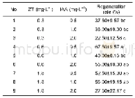 表3 ZT和IAA对万寿菊里程碑·黄色叶片再生的影响