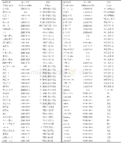 表1 217份核心种质信息表