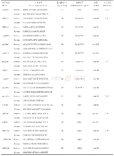 表2 与8个抗病基因连锁的17个分子标记引物详细信息