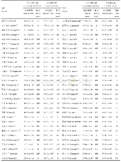 表3 供试小麦品种对两种镰孢菌的田间穗期抗性鉴定结果