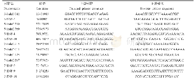 表3 基因初定位所用Indel标记和SNP标记