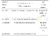 表2 实时荧光定量PCR引物