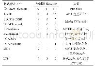 表2 TaAIRP2-1A、-1B、-1D启动子顺式作用元件的数目和功能