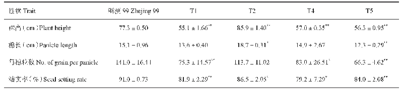《表5 浙粳99突变体库中叶形突变体和野生型的性状考查》