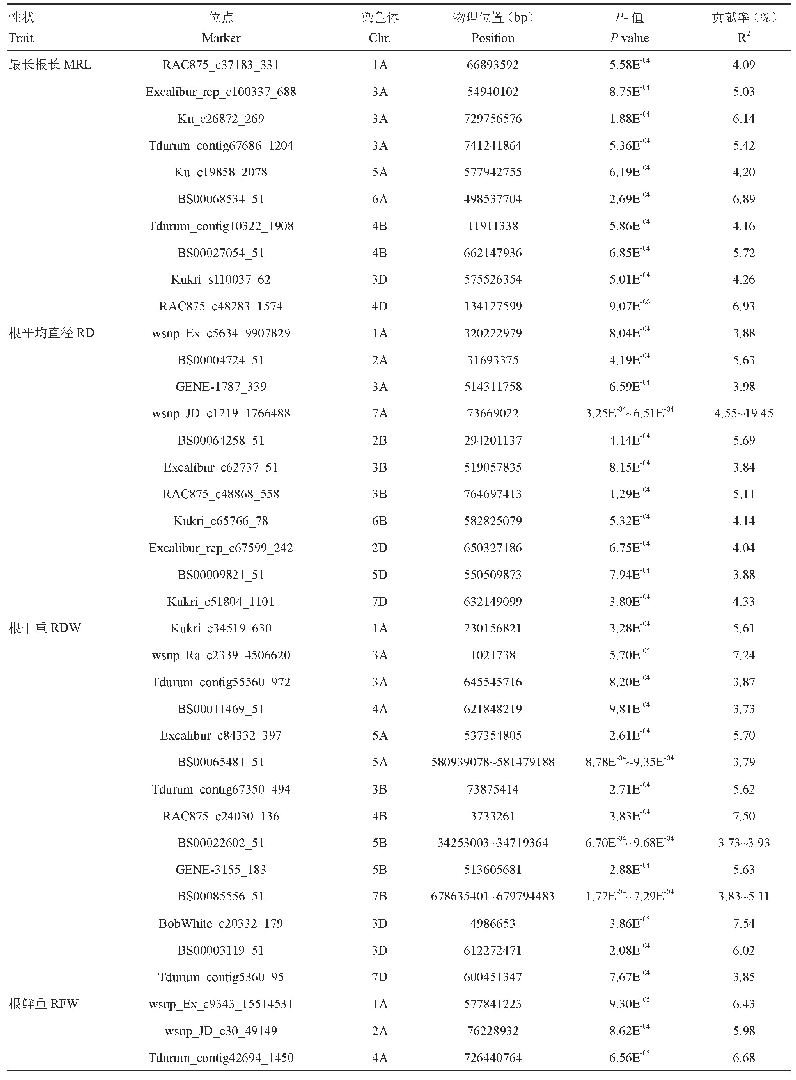 表4 根部性状耐盐性显著关联位点信息