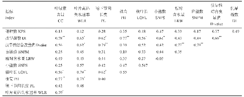 表7 供试品种性状之间及其与抗旱指数、抗旱性综合度量值之间的相关性