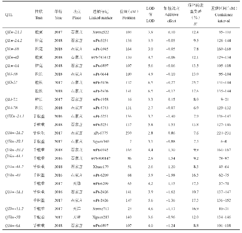 表6 千粒重及其相关性状的QTL