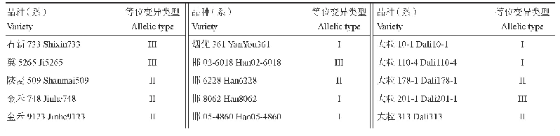 《表2 供试小麦品种（系）等位变异类型》