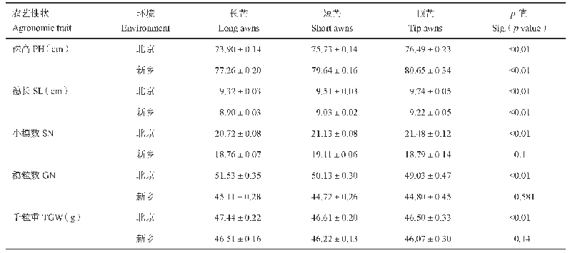 表2 YN3/YZ1遗传群体不同类型芒长农艺性状统计