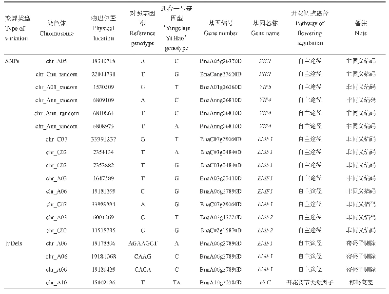 表4 迎春一号特早花性状候选基因