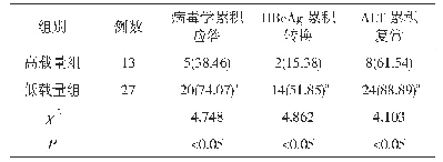 表1 不同HBV-DNA水平组患者临床疗效对比[n(%)]