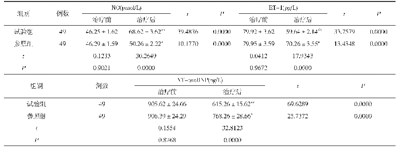表2 两组血管内皮功能指标、NT-pro BNP水平对比(±s)