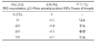 表1 不同PEG-6000浓度模拟干旱胁迫处理