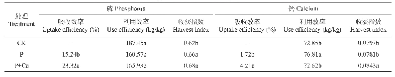 表3 施用磷钙对花生磷钙吸收和利用效率的影响