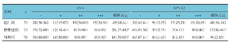 表1 TNBC癌组织、癌旁组织和对照组EVI1、KPNA2阳性表达率的比较例（%）