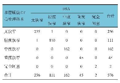 表2 多层螺旋CT后处理技术与DSA诊断颈动脉狭窄的结果（节段）