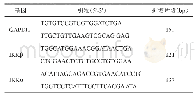 《表1 内参GAPDH及各目的基因定量PCR引物序列》