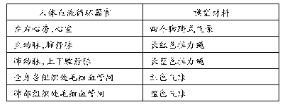 表1 血液循环各器官与模型材料对应关系表