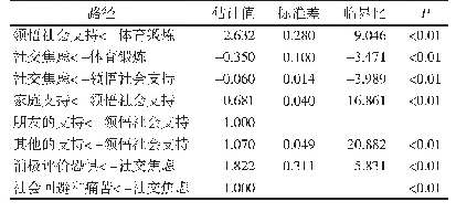 表5 陕西农村留守儿童社会支持感的中介效应检验