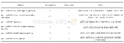 表2 与多囊卵巢综合征关联密切的基因KEGG主要通路分析