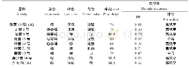 表3 比试品种生物学特性Tab.3 Biological characteristics of the tested varieties