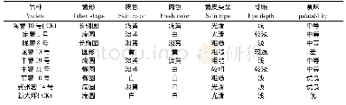 表4 比试品种块茎性状及口感Tab.4 Tuber traits and palatability of tested varieties