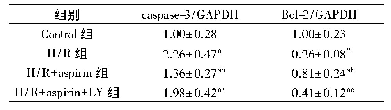 表4 各组H9c2心肌细胞中caspase-3、Bcl-2蛋白表达水平比较(±s,n=6)