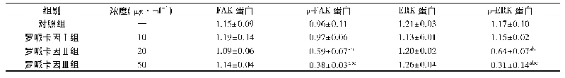 表5 各组KYSE150细胞中FAK、p-FAK、ERK、p-ERK蛋白表达情况(x珋±s,n=6)