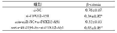 表7 Western Blot检测β-catenin蛋白表达(±s,n=9)