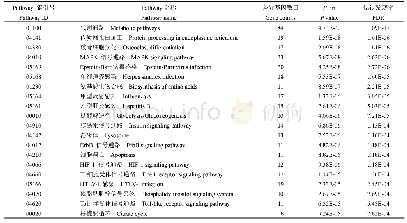 表3 差异表达基因Pathway富集分析