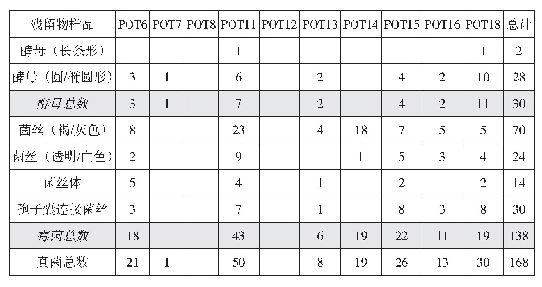 表三大地湾遗址陶器残留物中的真菌记录