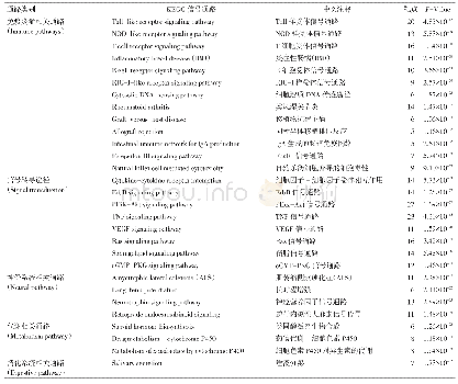 《表4 柴胡-白芍药对KEGG通路》
