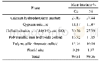 表3 铜、镍在电镀污泥中的物相分布