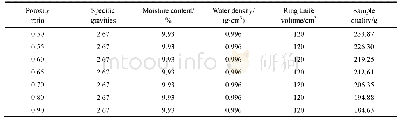 表2 不同孔隙比试样制备参数