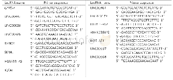 《表1 LncRNA引物序列》