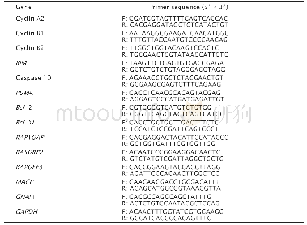 表1 实时荧光定量PCR引物序列