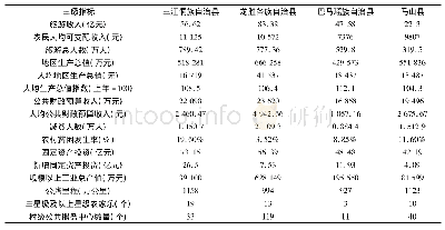 表3 2017年广西乡村旅游减贫的三级评价指标情况*