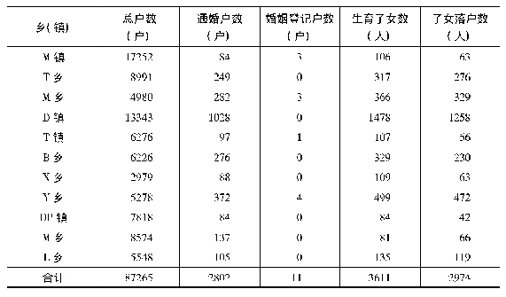 表3 M县各乡(镇)中越边民通婚统计