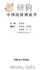 中国经济刑法学（1989 PDF版）