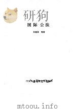 国际公法   1985  PDF电子版封面  7304001534  朱荔荪等著 