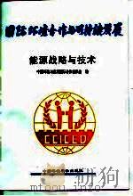 能源战略与技术   1998  PDF电子版封面  7801356330  中国环境与发展国际合作委员会编 