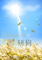 快快乐乐学习中文windows95     PDF电子版封面     