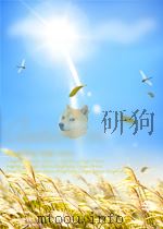 Authorware及其多媒体程序设计   1998  PDF电子版封面    严洪华 